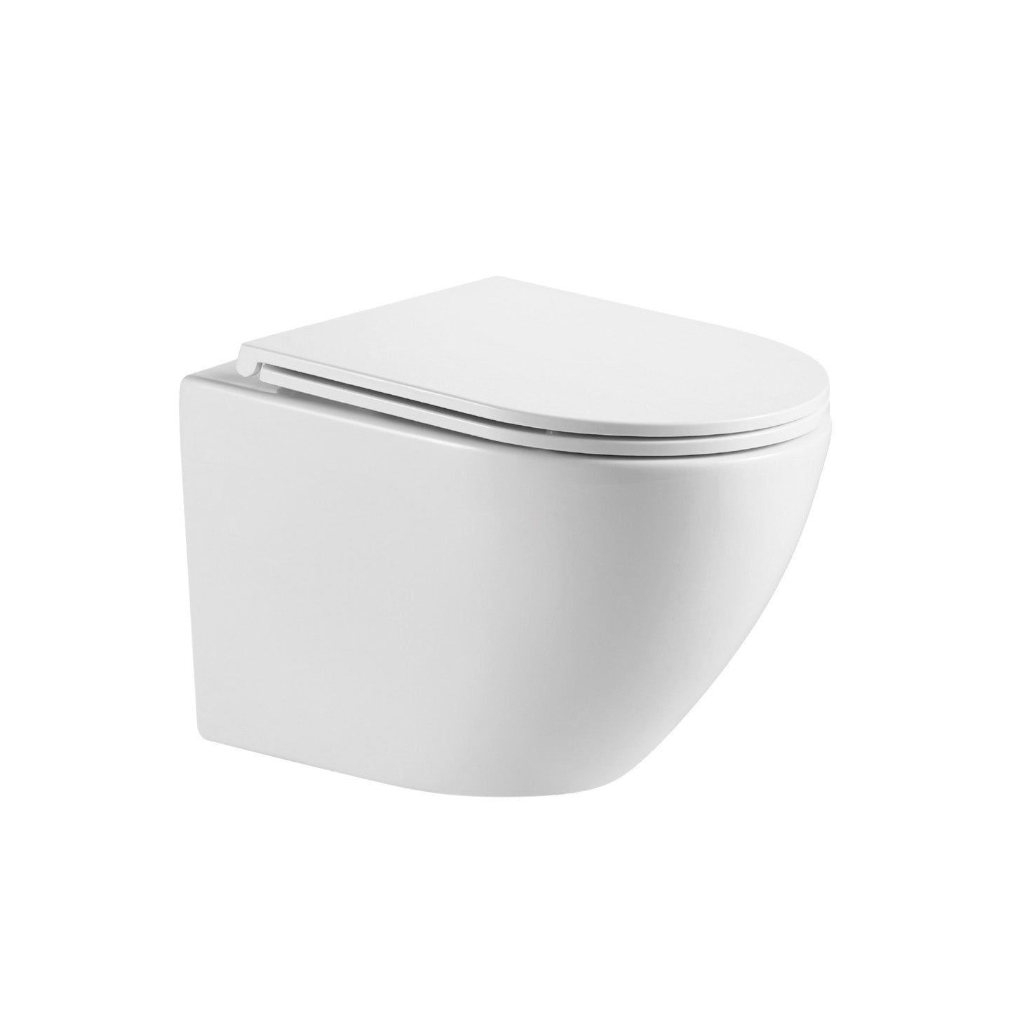 23.c Wall Mounted CycloCleanTM WC with Seat